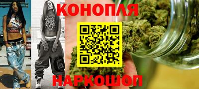 Альфа ПВП Гатчина