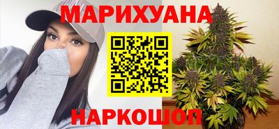Альфа ПВП Гатчина